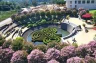 最美花園景觀(guān)設(shè)計(jì)：美國(guó)?亨廷頓植物園