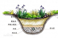 什么是雨水花園？雨水花園和普通花園有什么區別？